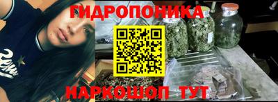 наркотики Будённовск