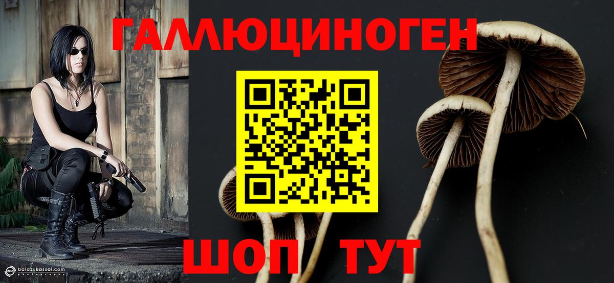 Галлюциногенные грибы ЛСД Новодвинск